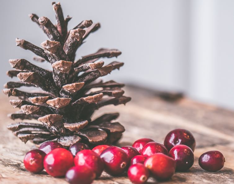 CRANBERRY WOODS 16 OZ