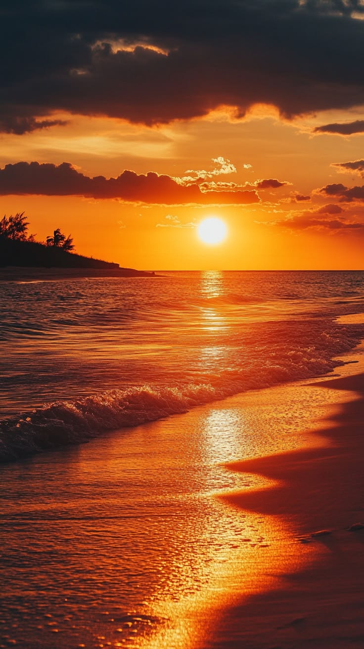 SUMMER SUNSET
