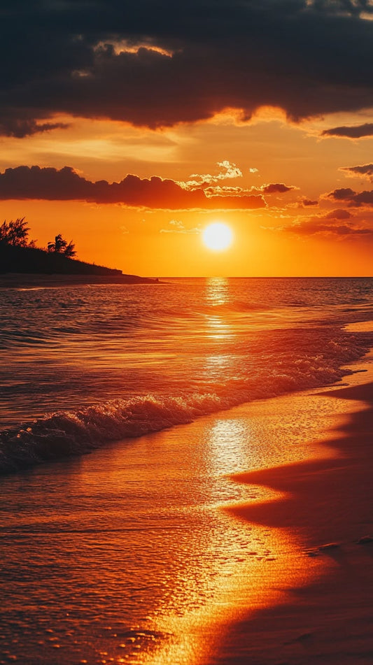 SUMMER SUNSET